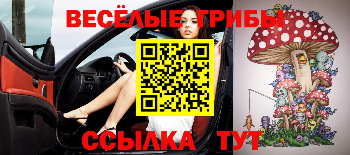 Алексеевка  наркошоп  Галлюциногенные грибы Magic Shrooms  Вход с VPN  Галлюциногенные грибы мухоморы 