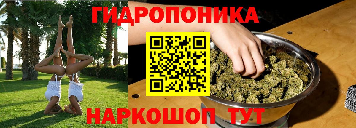 Конопля Amnesia Алексеевка
